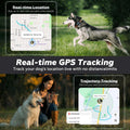 DBDD AI GPS Tracker for Dogs (30lbs+) - Real-Time Location & AI Health Assistant, Electronic Fence Collar for Escape Artists, Waterproof Dog GPS Tracker for Medium Large Dogs, iOS Android