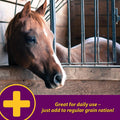 Farnam Horse Health Apple-Dex Apple Flavored Electrolytes Powder for Horses, 5 pound