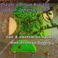 Jumping Spider Enclosure Accessories - 2 Wood Ledges & 4 Climbing Webs