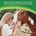 HEIRO Healthy Equine Nutritional Supplement for Horses, Herbal Blend with Magnesium and Vitamin E, Daily Metabolic Suppo