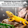 T5 10.0 UVB Reptile Light Fixture Combo Kit, 8W High Output UVA UVB Light with Upgraded Wider Alloy Reflector for Bearde