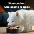 Cesar Wholesome Bowls Adult Wet Dog Food,Beef,Chicken,Purple Potatoes & Carrots,Wet Food for Dogs,3 Oz. Bowls