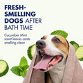 Arm & Hammer 2-in-1 Dog Shampoo and Conditioner, Cucumber Mint, 20 Fl Oz