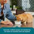 Nutrish Dry Cat Food, Salmon & Brown Rice Recipe, 5 lb. Bag (Rachael Ray)