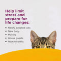 COMFORT ZONE Cat Calming Diffuser Refill, 6 Pack – Cat Calming Pheromone Refills Help Reduce Anxiety, Stress, Scratching, Urine Marking, Aggression, (30-Day Refills, 180-Day Supply)