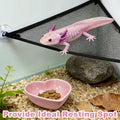 Axolotl Hammock for Aquarium with Feeding Bowl, Axolotl Tank Accessories - Breathable Mesh Reptile Hammock with Feeder T