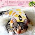 Nuanchu 3 Pieces Cat Recovery Suit Kitten Recovery Suit E-Collar Alternative for Cats and Dogs Abdominal Skin Anti Licking Pajama Clothes Sets(Medium,Fruit Style,Colorful)