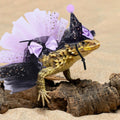 2pcs Bearded Dragon Witch Costume Set Small Pet Adjustable Hat Bow Tutu Skirt Outfits for Lizards Guinea Pigs Bunny Ferr