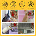 Rabbits Chew Toy, Bunny Cage Hanging Chew Toys and Treats