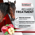 Horse Ivermectin Paste 1.87% – Apple Flavored Oral Horse Dewormer Syringe – 6.08g Tube Treats Horses Up to 1,250 lbs [Pa