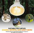 CALPALMY (4-Pack 100W Reptile Heat Lamp Bulbs - UVA Daylight Basking Light Bulbs for Reptiles, Turtles, Lizard, Bearded 