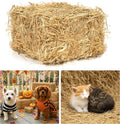 Hay Bales for Decoration, 7.9 x 7.9 x 7.5in, 1 LB Natural Wheat Straw