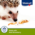 Sunseed VitaKraft Wigglers and Berries Trail Mix Hedgehog Treat 2.5 oz.