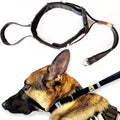 No-Pull Dog Headcollar – Stops Sudden & Constant Pulling on the Leash, Gentle & Effective Training Collar for Large & Sm