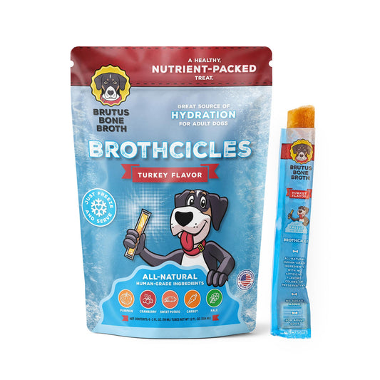 Brutus Brothcicles Frozen Dog Treats - Turkey Flavor Dog Popsicle Snack, Hydrating Frozen Enrichment Treat with Superfoods,12 Fl Oz Pack of 1 (2 oz per Stick)