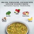 Healthy Dogma Original PetMix – USA Made Dehydrated Dog Food for Allergies, Ideal for Small & Large Breeds (Original, 10 lbs)