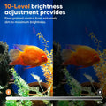 7.5 Gallon Smart Fish Tank with App-Controlled LED
