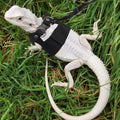 3PCS Bearded Dragon Harness and Leash Set | 3 Size Adjustable Reptile Leash