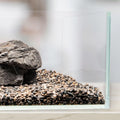 Ultum Nature Systems Controsand Santa Fe Aquarium Gravel (3L) - Small Pebbles for Fish Tank - Planted Aquarium Rocks - F