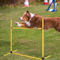 Halloscume 6 Pcs Dog Agility Training Jumps Hurdles