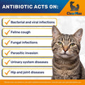 Cat Antibiotic Respiratory Support During Cough & Allergies