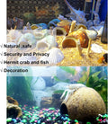 SINKOO 16PCS Hermit Crab Shells (7 Types) Growth, Hermit Crab Coconut Hut