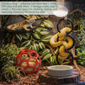 7-in-1 Snake Enclosure Accessories, Snake Climbing Toys & Habitat Decor