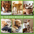 BUGAZOOM‌ Bitter Dog No Chew Spray, Dog Training Aid for Furniture & Carpet, Puppy Corrector & Behavior Spray for Dogs &