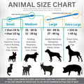 Fecal Loop for Small and Medium Animals, Stool Sample Collection Kit for Small Dogs, Goats, Sheep and Other Small Animal