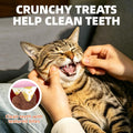 Just Try Urinary Cat Treats, Cranberry & D Mannose Formula Tract Bites