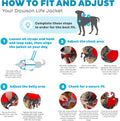 Outward Hound Dawson Swim Dog Life Jacket, Life Vest, Red, Large