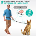 PetAmi Hands Free Dog Leash with Padded Lumbar Waist Belt, Shock Absorbing Bungee, Quick Release Buckle, Dual Handle, Running Jogging Walking Leash for Medium Large Dogs Up to 125 lbs, Grey