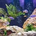Moonorange Reptile Artificial Plants, Terrarium Plants Decorations Supplies, Aquarium Fish Tank Plant, Amphibian Habitat