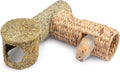 Niteangel Creative & Composable Hamster Tunnel: Edible Water Hyacinth & DIY