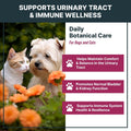 MaxBuddy Natural UTI Treatment Support - Cranberry Urinary Tract Infection Care & Prevention Assistance for Cats and Dog