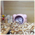 Ceramic Hamster House, Cute Animal Shaped Hamster Cave, Summer Cool Small Animal Hideout Habitat Decor for Dwarf Hamster