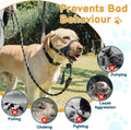 BARKLESS Muzzle Leash for Heavy Pullers, No Pull Stylish Head Halter