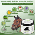 Pure Sole Hoof Clay for Horses Hoof Mud | for Horses with Thrush-Prone Hooves, Deep Sulcus Cracks & White Line Issues | 