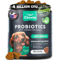 CHEWIA Probiotics for Dogs – Probiotic Chews for Yeast Balance, Gut Health, Itchy Skin & Diarrhea Relief – with Digestive Enzymes, Prebiotic FOS & Pumpkin – Dog Probiotics for Puppies & Adults