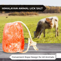 Himalayan Pink Salt Licks for Animals – Natural Salt Block with Rope for Horses, Cows, Deer & More – No Harmful Elements