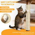 Natural Sisal Rope for Cat Scratcher Tree Thick 5-mm 1/5 Inch by 50 Feet, Cat Tower Climbing Twine for Cat Scratching Post Replacement, Scratch Post Repairing, Replace, Recovering and DIY, White