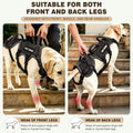 Dog Lift Harness for Senior and Post-Surgery Dogs,3-in-1 Full-Body Support