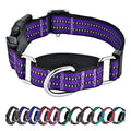 Martingale Collars for Dogs, Reflective Escape Proof Training Dog Collars with Quick Release Buckle,Adjustable No Slip Nylon Dog Collar for Medium Pets
