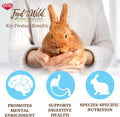 Kaytee Food from The Wild Rabbit Food, 4 Pounds