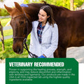 Ramard Total Tendon Repair –Advanced Powder Supplement with Vitamin C, Collagen, and MSM for Horse Joint, Ligament, and 