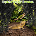 Hamiledyi Reptile Plants for Terrarium, Hanging Tank Greenery