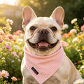 ARING PET Summer Dog Bandana-Cute Pink Dog Bandanas, Comfortable Pet Scarf Dogs Triangle Bibs for Small to Large Girl Do