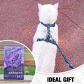 BEAUTYZOO Cat Harness and Leash Set, Escape Proof for Walking Travel, Black