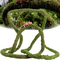 USMOLA Moss Vine for Reptiles, Bendable Climbing Vines Reptile Tank Accessories, Natural Moss Rope for Leopard Gecko, Li