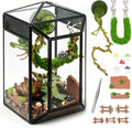 Glass Jumping Spider Enclosure Kit, 5.1 x 4.1 x 7.6 in Gothic Tank